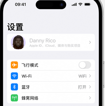 奉新appleID维修服务iPhone设置中Apple ID显示为灰色无法使用