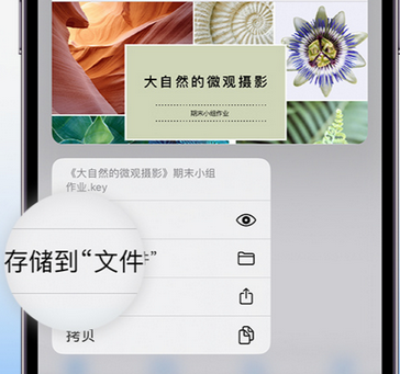 奉新apple维修中心分享iPhone文件应用中存储和找到下载文件