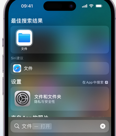 奉新apple维修中心分享iPhone文件应用中存储和找到下载文件