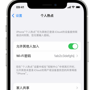 奉新apple服务站点分享iPhone上个人热点丢失了怎么办 