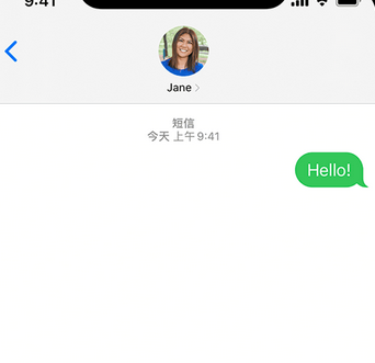 奉新apple维修iPhone上无法正常发送iMessage信息