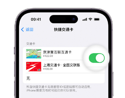 奉新apple维修点分享iPhone上更换Apple Pay快捷交通卡手绘卡面 