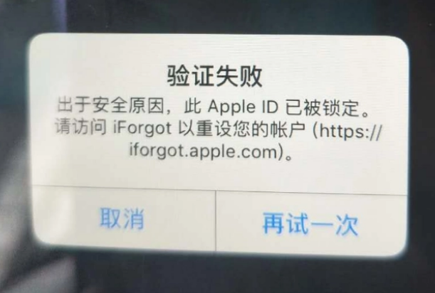 奉新iPhone维修分享iPhone上正常登录或使用AppleID怎么办 