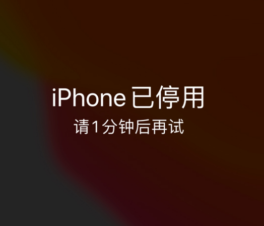 奉新苹果手机维修分享:iPhone 显示“不可用”或“已停用”怎么办？还能保留数据吗？ 