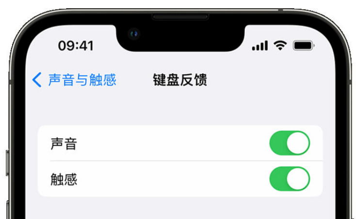 奉新苹果手机维修分享iPhone 14触感键盘使用方法 