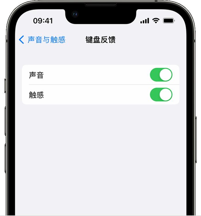 奉新苹果14维修店分享如何在 iPhone 14 机型中使用触感键盘 