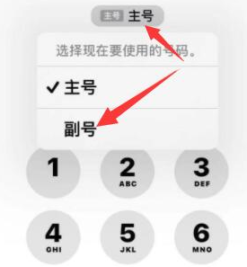 奉新苹果14维修店分享iPhone 14 Pro Max使用副卡打电话的方法 