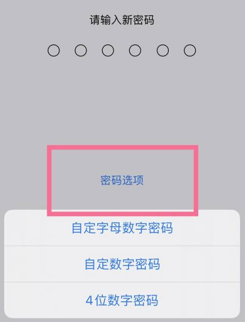 奉新苹果14维修分享iPhone 14plus设置密码的方法 