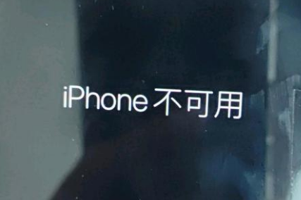 奉新苹果服务网点分享锁屏界面显示“iPhone 不可用”如何解决 