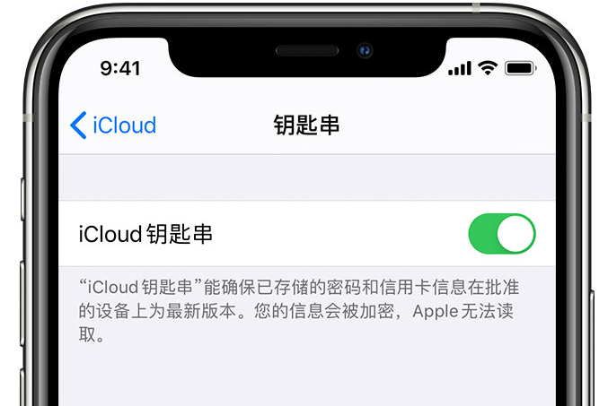 奉新苹果手机维修分享在 iPhone 上开启 iCloud 钥匙串之后会储存哪些信息 