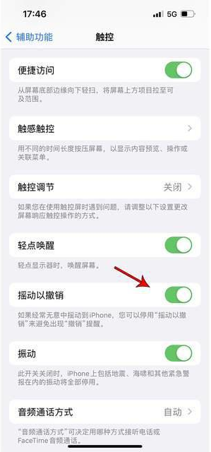 奉新苹果手机维修分享iPhone手机如何设置摇一摇删除文字 